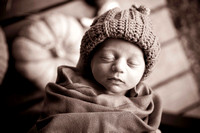 Portraits of Finn :: Newborn to 14 Months